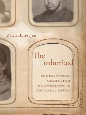 cover image of The Disinherited